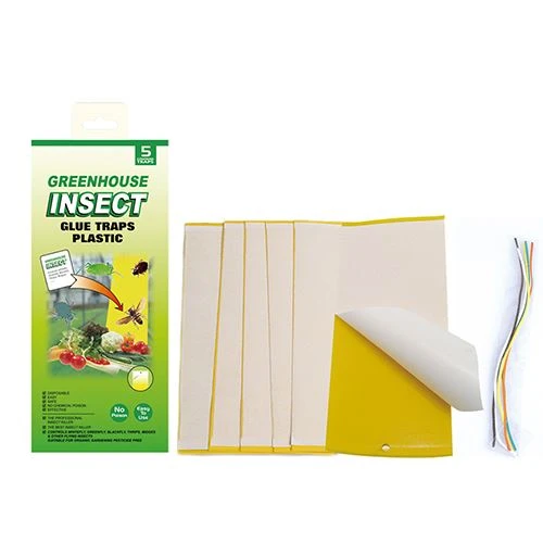 Plastic Insect Glue Trap