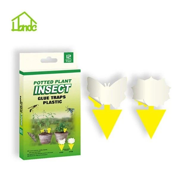 Plant Fly Paper Gnat Catcher