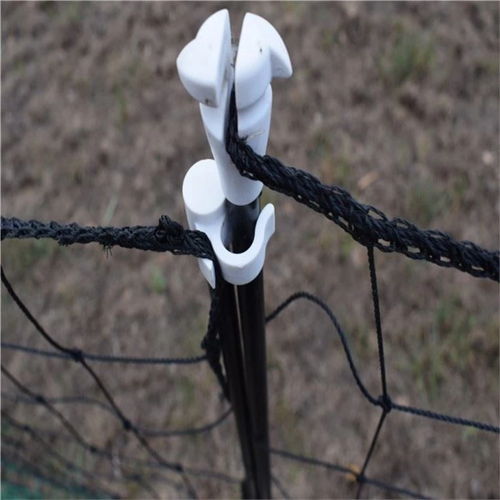 Plastic Chicken Fencing For Saling In 24m