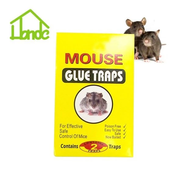 Rodent Control Rat Trap Glue