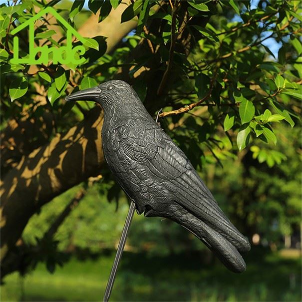 Black Bird Repellent